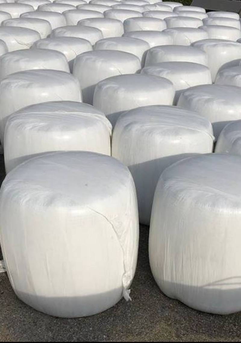 BIO Silageballen - ampferfrei 1