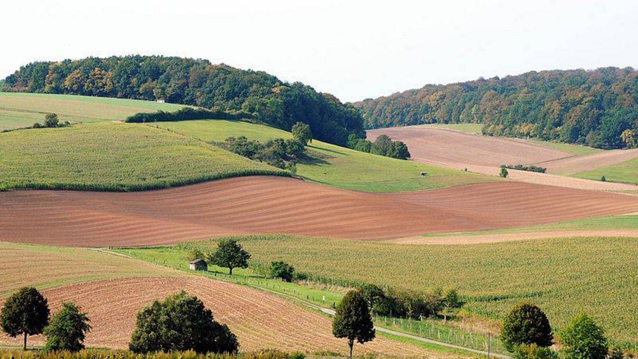 Äcker: Land- und Forstwirtschaftliche Flächen gesucht kaufen - Landwirt.com