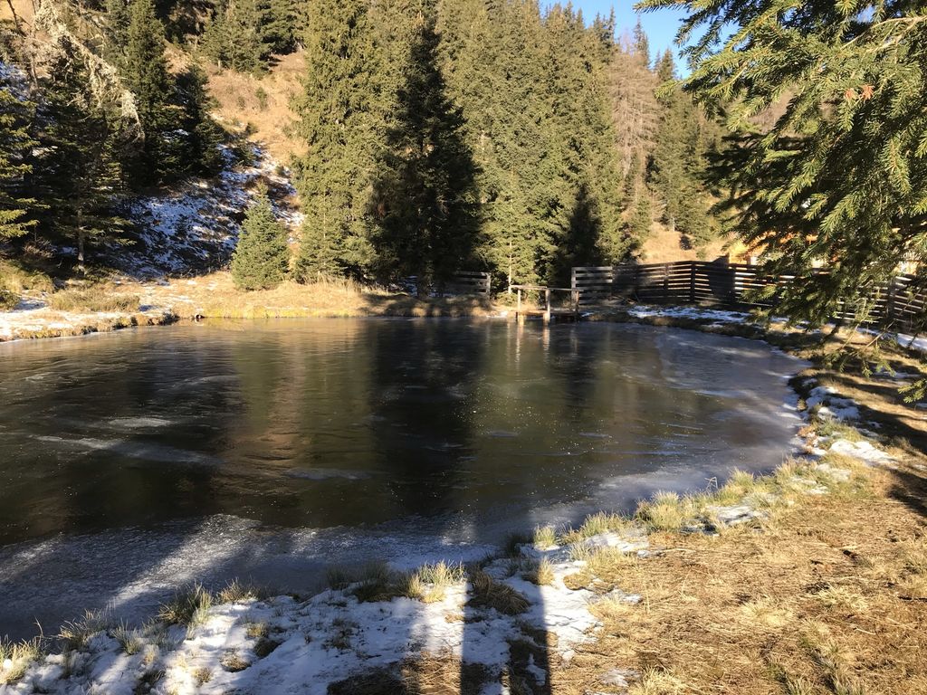 Pacht Fischteich zu verpachten kaufen