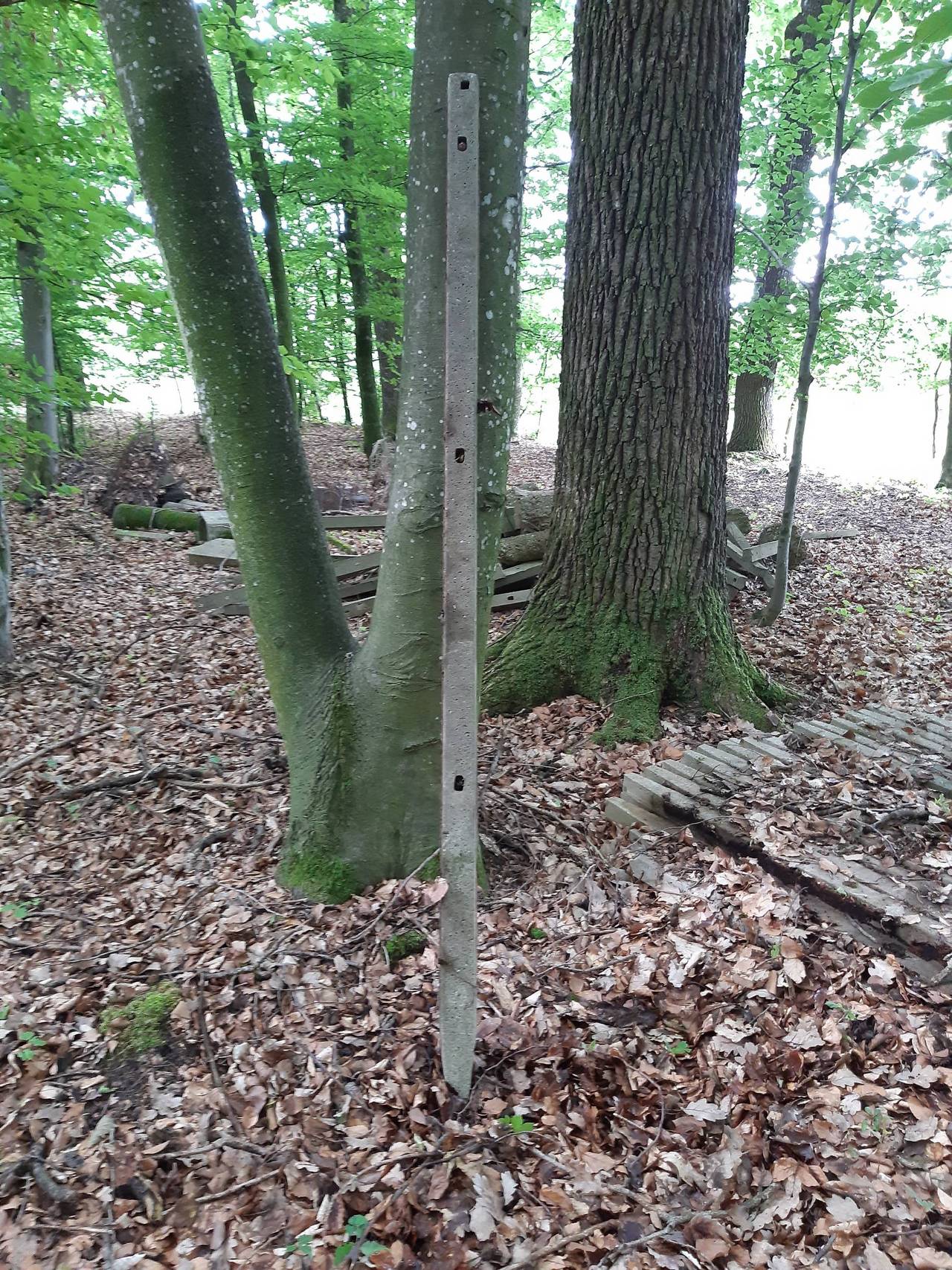 Zaun Weidepf hle Betons ulen 2 40 M Gebraucht Kaufen Landwirt