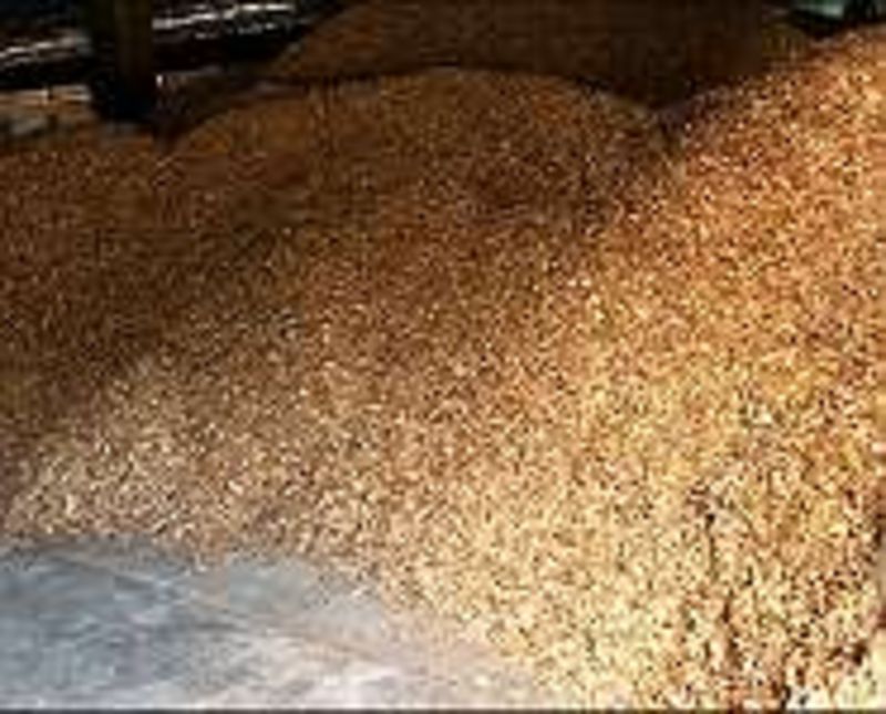 Hackgut, Hackschnitzel 1