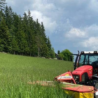 FlorianSchaberreiter