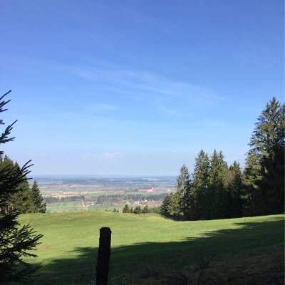 EviWalser