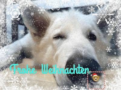 User Bild