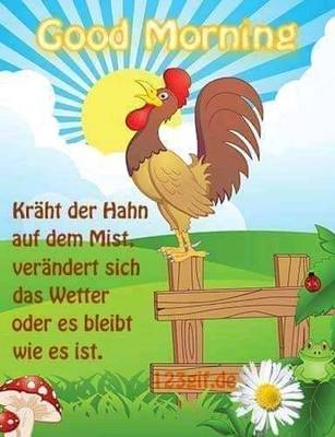 User Bild
