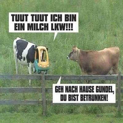 GüntherKocher