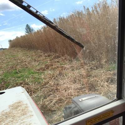 Moritz Michael Spalt 