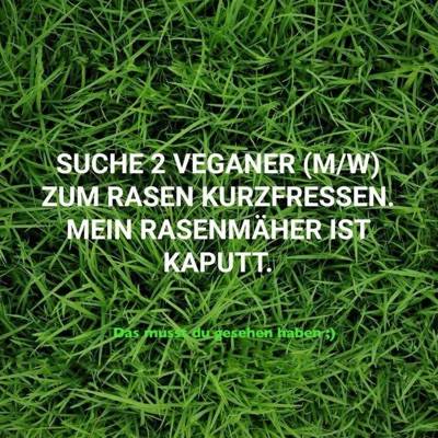 User Bild
