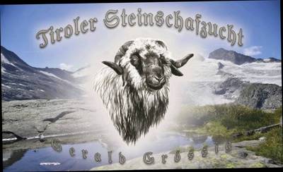 User Bild