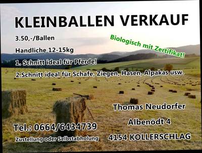 User Bild