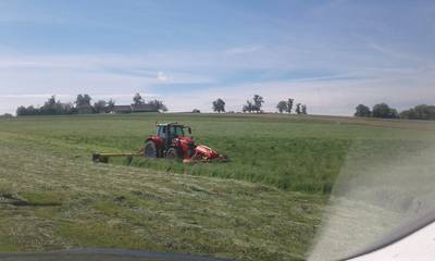 ElisabethHaselsteiner