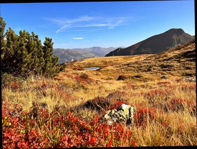 BarbaraWechselberger