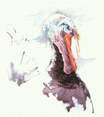 Gerhard .