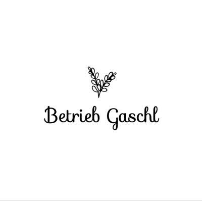 Betrieb Gaschl.