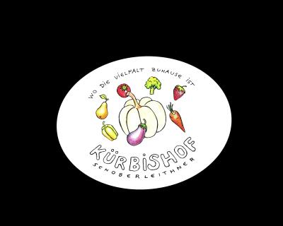 JohannesSchoberleithner