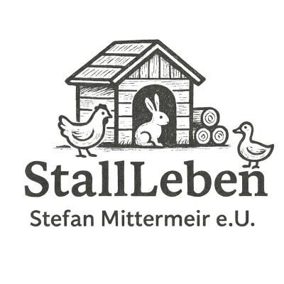 StefanMittermeir