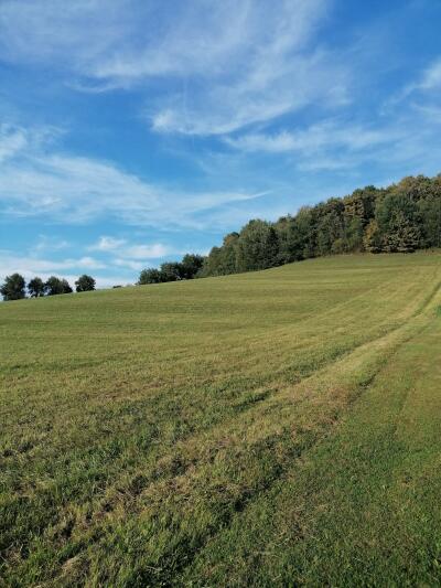 Wiesenglück-