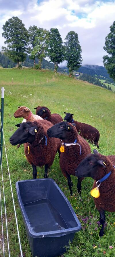 Johann & BirgitHinterholzer