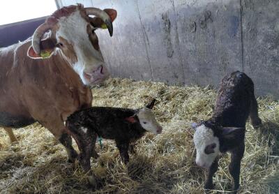 SonjaHackl-Schindler