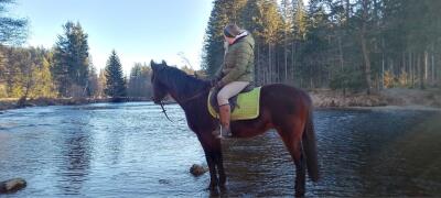 Sabrina AngelaForstner