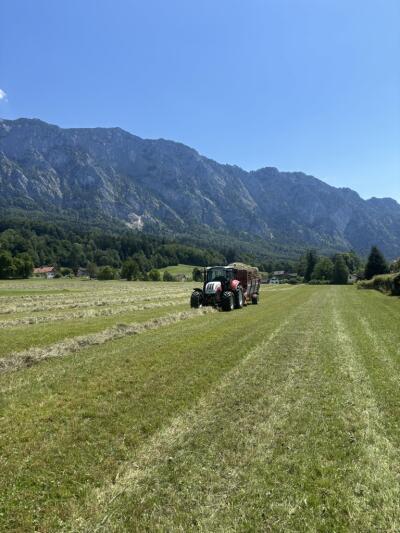 Pauli-Brix-