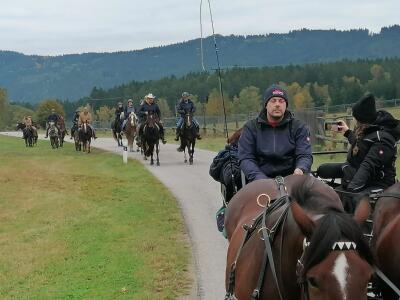 MartinPührerfellner