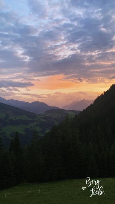 KimSchwab