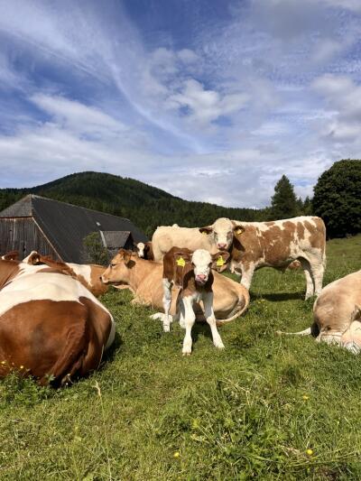 Magdalena Sonnleitner