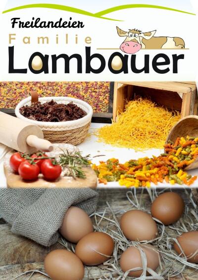 LambauerAlex