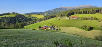 JohannBauer
