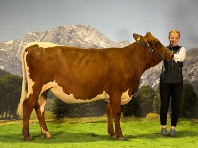 Julia-Breitfuß-