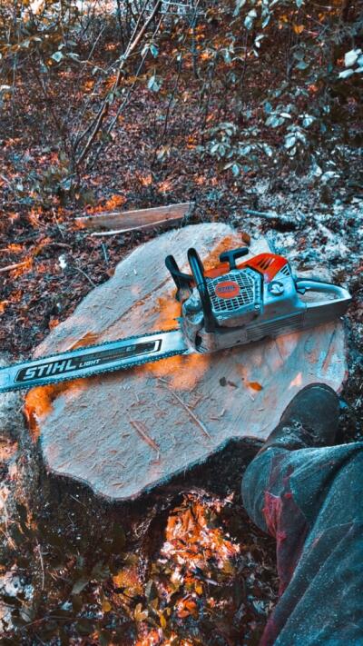 SebastianSonnleitner