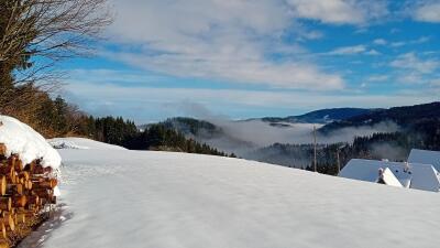 MarkusBretterklieber