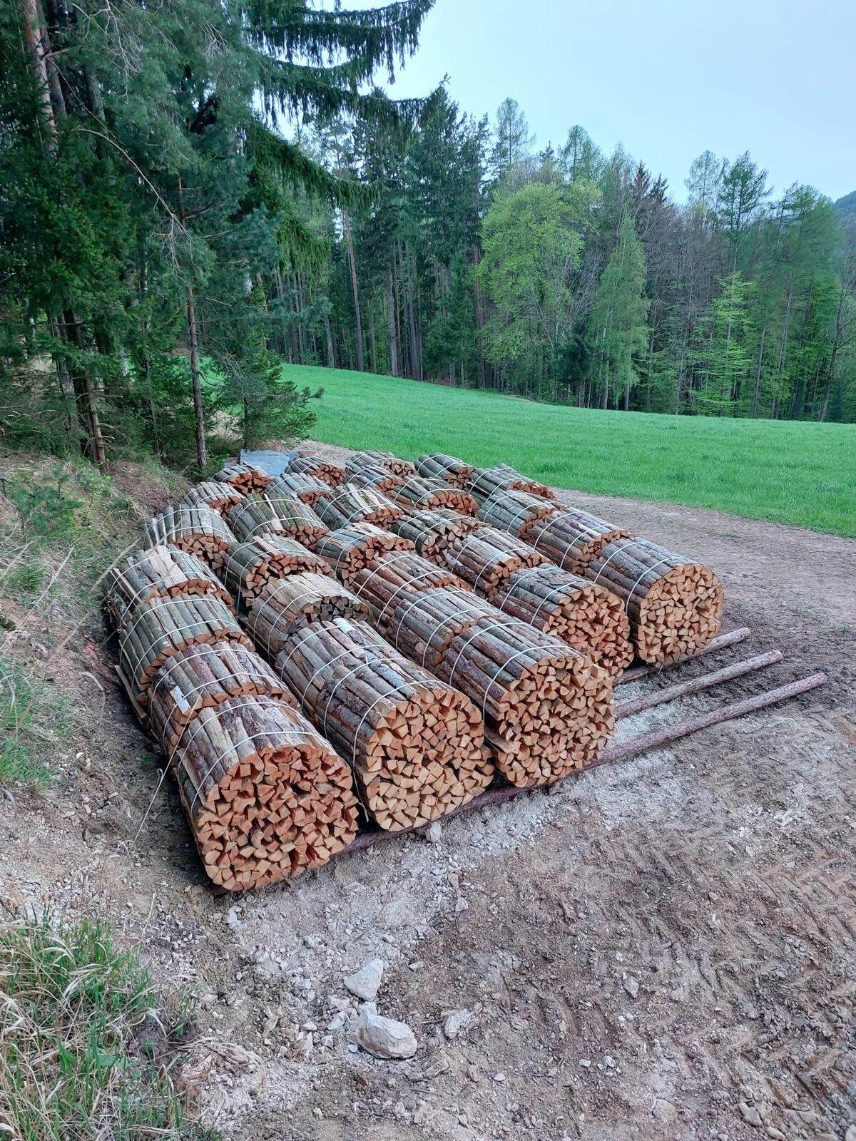 Brennholz 2