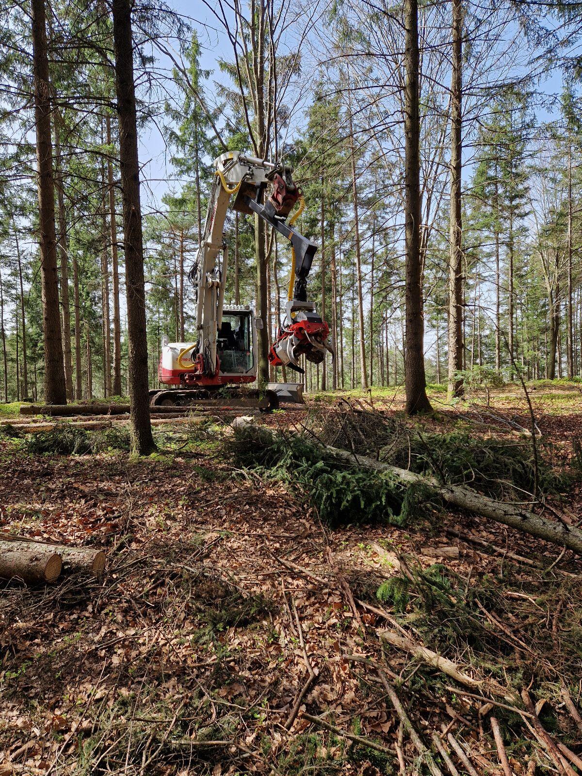 Takeuchi TB290-2 mit Nisula Harvester 425H 2