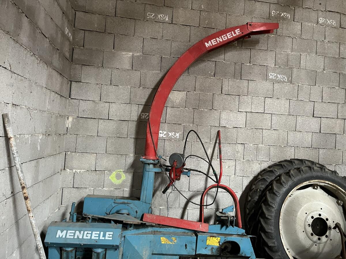 Mengele Mex 1