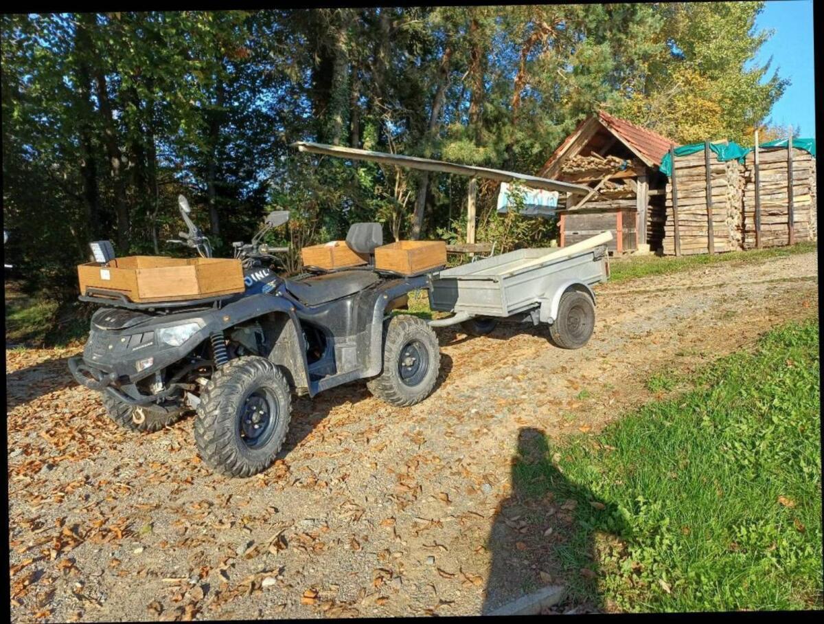 Dinli 600er Centor 4x4 Quad 1