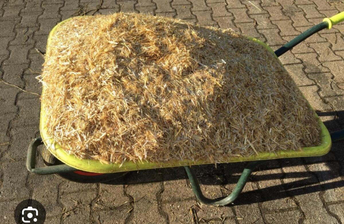 Gemulchtes  Stroh 1