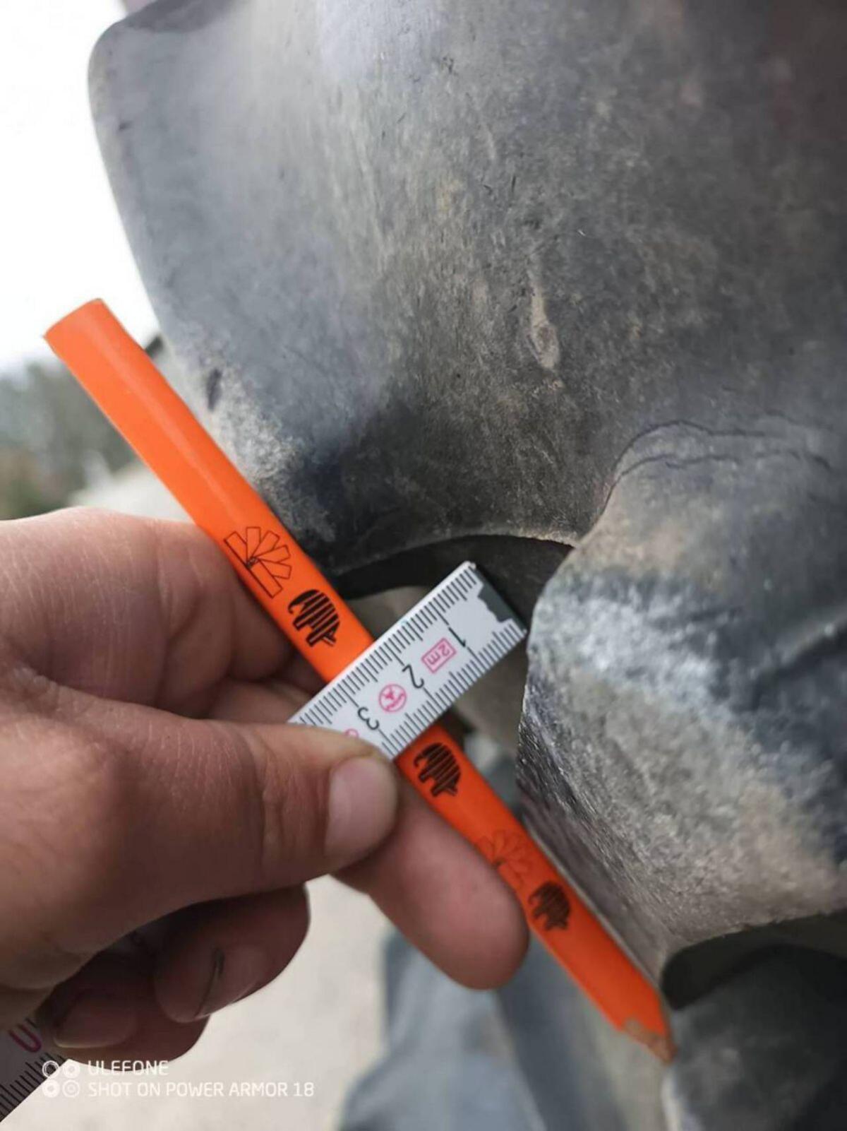 Pflegekompletträder für Fendt 611LSA 2