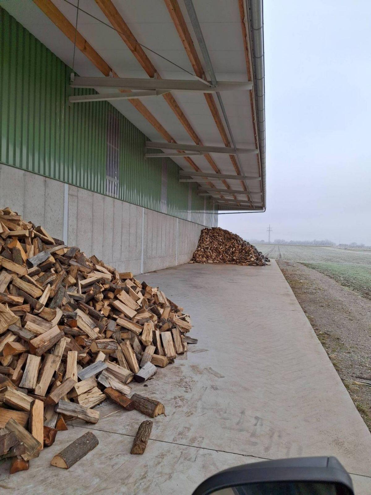 Brennholz 2