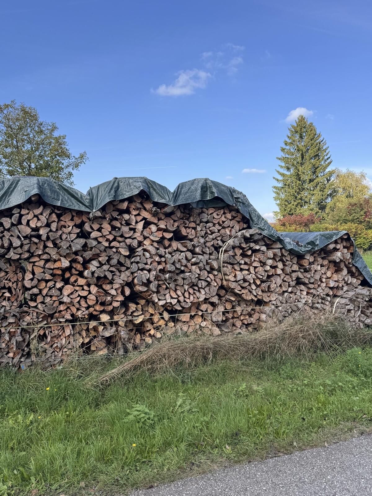 Brennholz weich 1