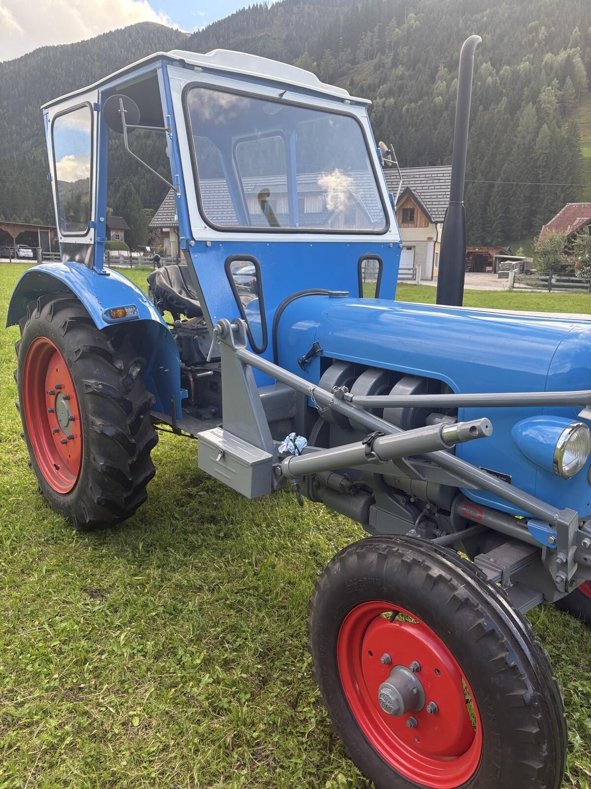 Eicher KÖNIGSTIGER EM 300 S 2