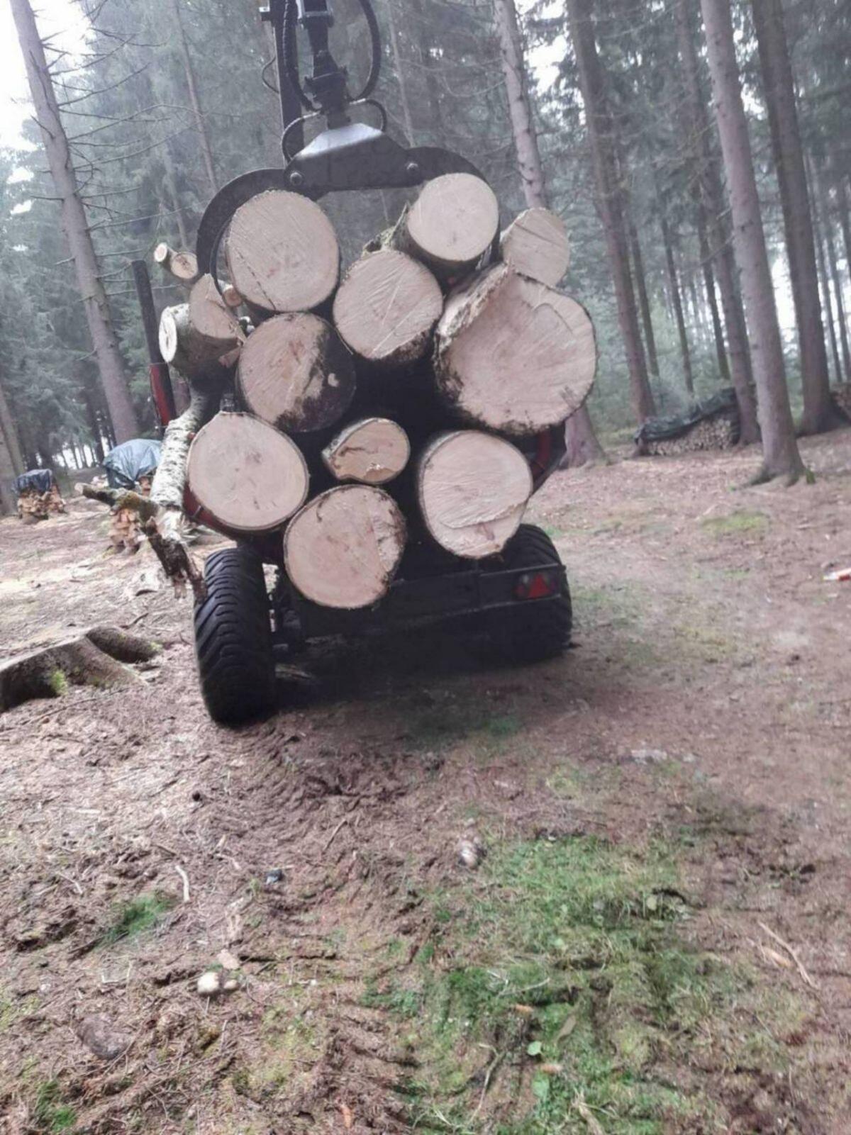 Holzschlägerung und Bringung 3