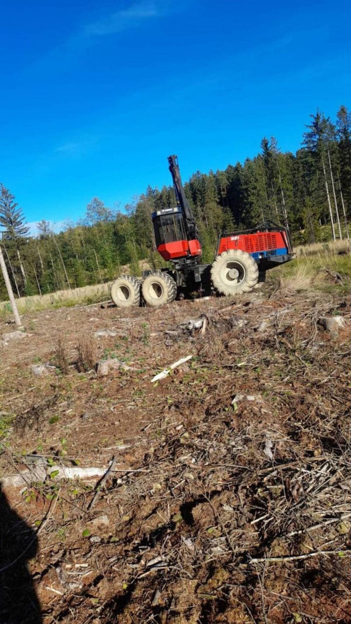 Holzschlägerung und Bringung 1