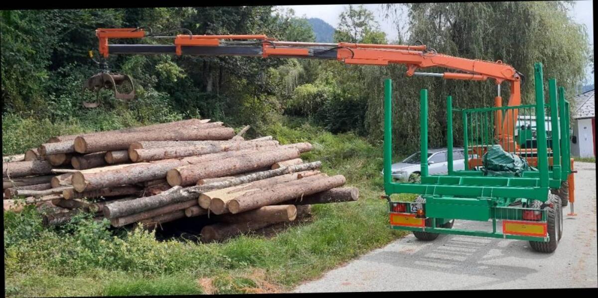 Rückewagen, Krananhänger 1