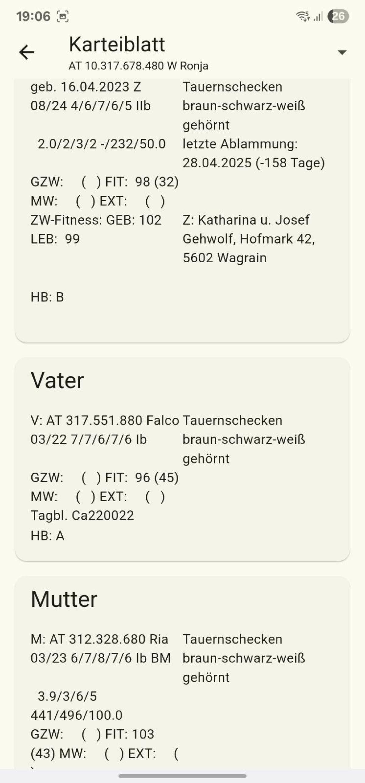 Tauernscheck Ziege HB 3