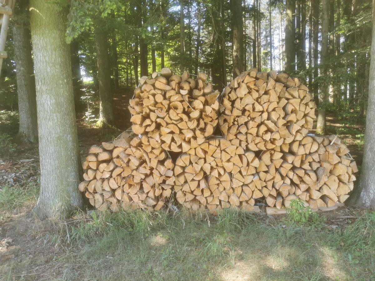 Brennholz/ Scheitholz 1
