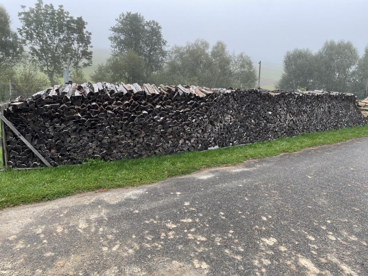 Birke Brennholz Birkenholz 3