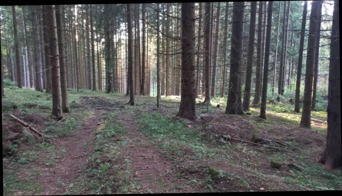 Kaufe landwirtschaftliche Flächen 1