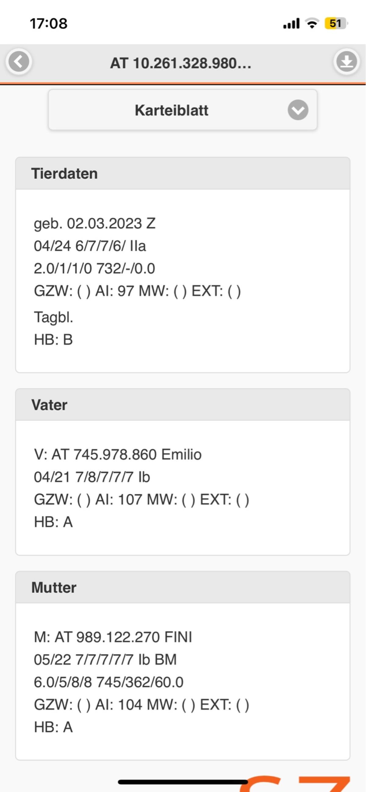 HB-Pfauenziege trächtig 3
